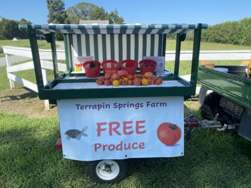 "Free" Vegetable Mobile Cart