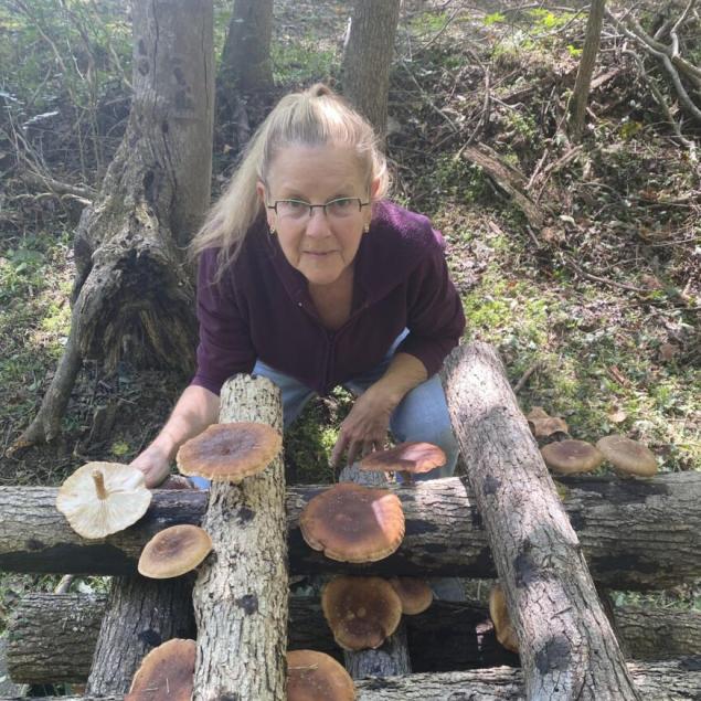 First Shiitake Harvest