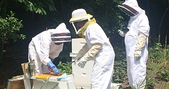 beekeepers-cropped