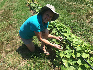 Chief Gardener