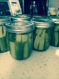 pickles - Copy